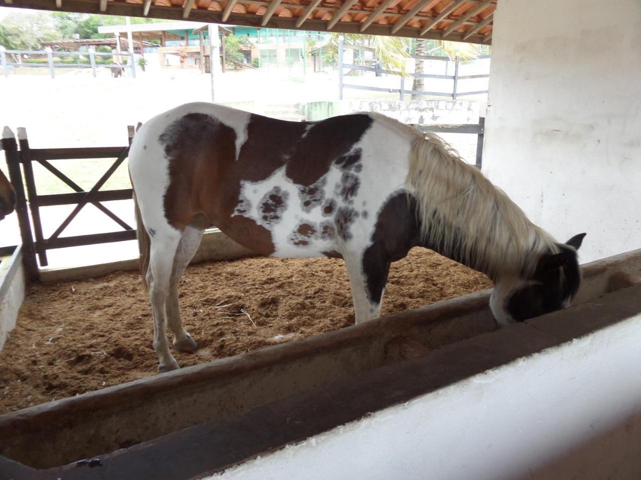 Flat Fazenda Monte Castelo-Ao Lado Da Piscina Lejlighed Gravatá Eksteriør billede