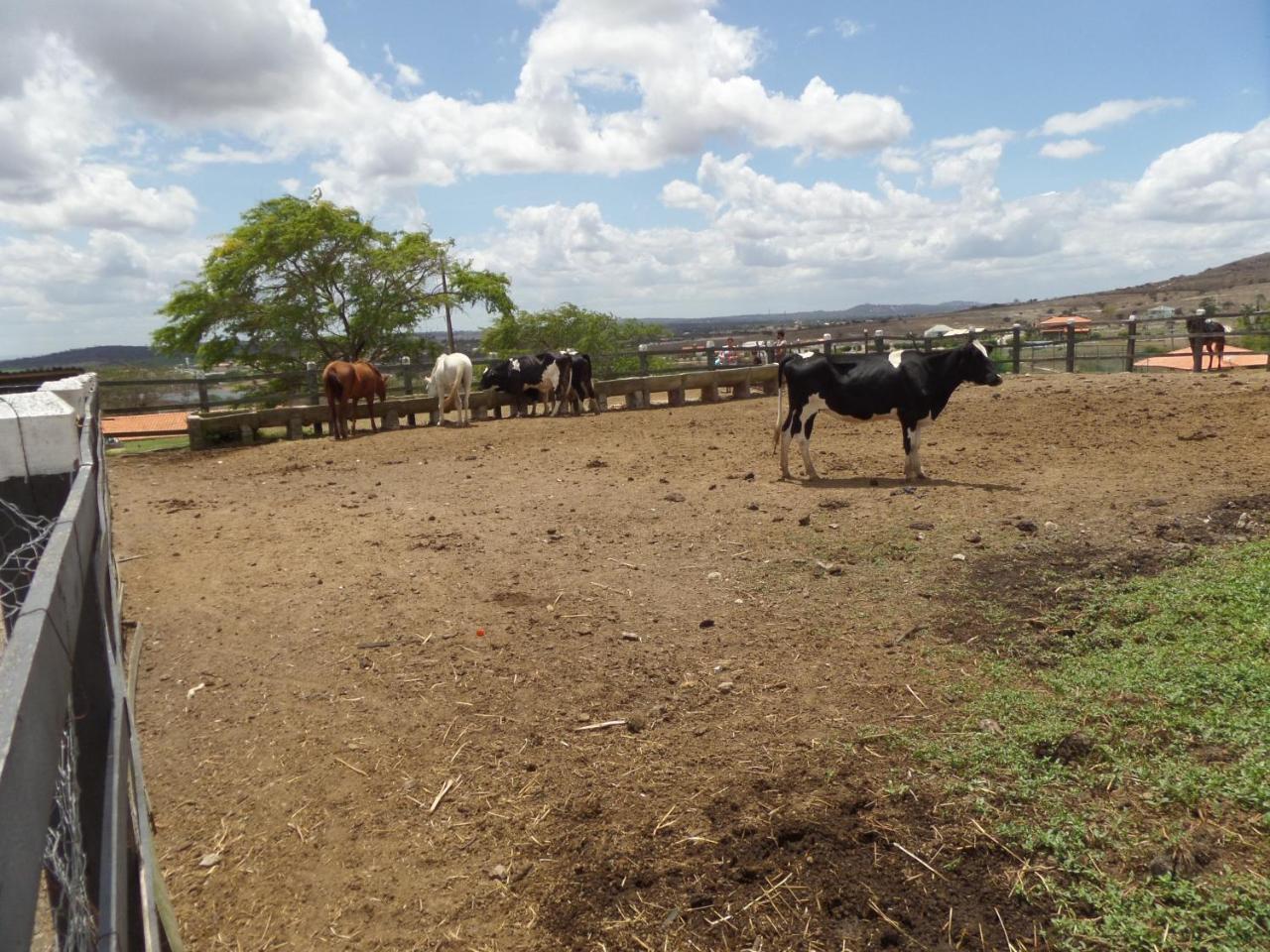 Flat Fazenda Monte Castelo-Ao Lado Da Piscina Lejlighed Gravatá Eksteriør billede